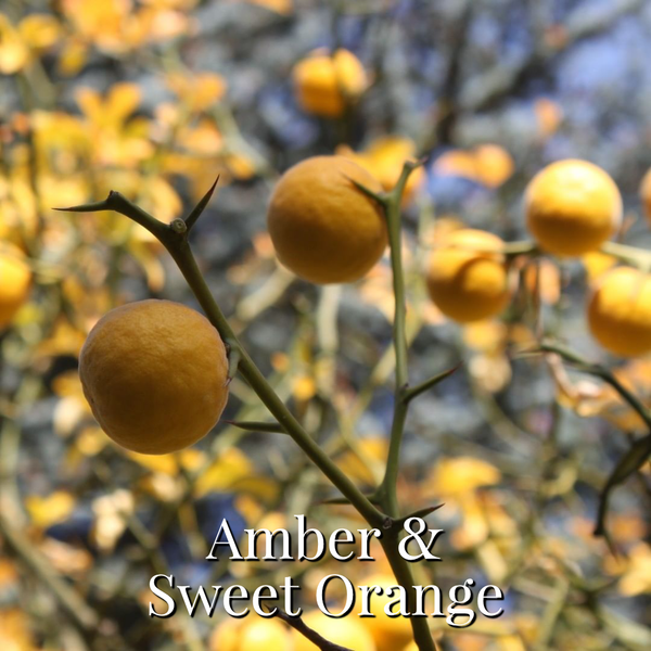 Amber & Sweet Orange Statement Diffuser - Marsden & Whittle