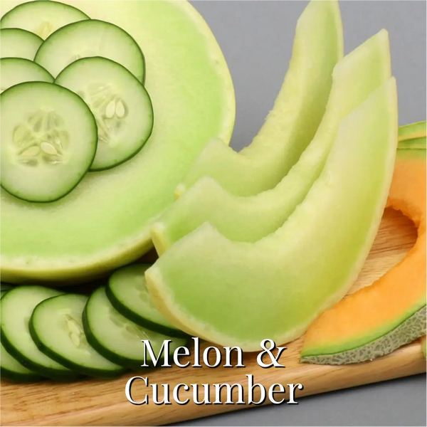 Melon & Cucumber Statement Diffuser - Marsden & Whittle