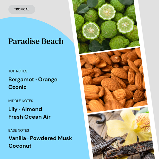 Fragrance notes card for Paradise Beach home fragrance by Marsden & Whittle, showing top notes of Bergamot, Orange and Ozonic, middle notes of Lily, Almond and Fresh Ocean Air, and base notes of Vanilla, Powdered Musk and Coconut, with ingredient photography.