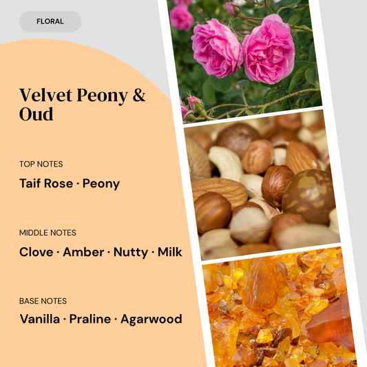Fragrance notes card for Velvet Peony & Oud home fragrance by Marsden & Whittle, showing top notes of Taif Rose and Peony, middle notes of Clove, Amber, Nutty and Milk, and base notes of Vanilla, Praline and Agarwood, with ingredient photography.