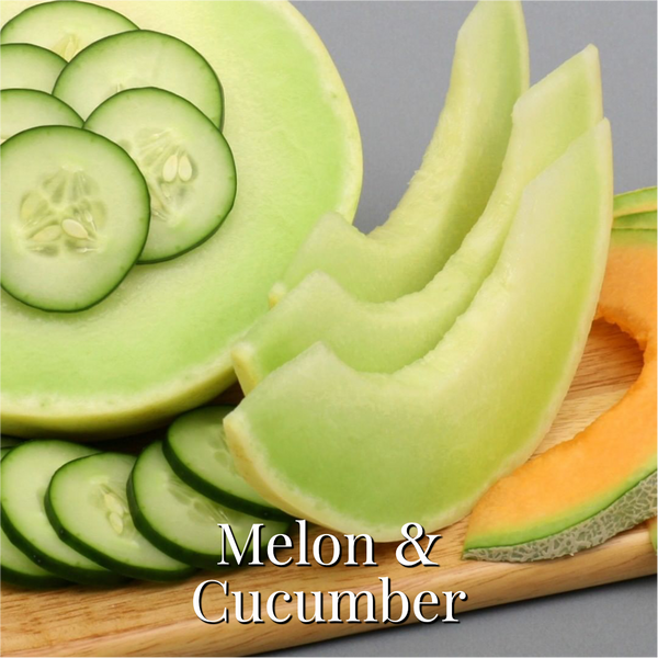 Melon & Cucumber Reed Diffuser Refill - Marsden & Whittle