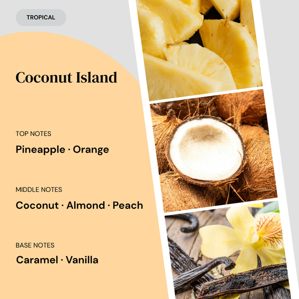 Coconut Island fragrance profile. Top notes: Pineapple, Orange. Middle notes: Coconut, Almond, Peach. Base notes: Caramel, Vanilla