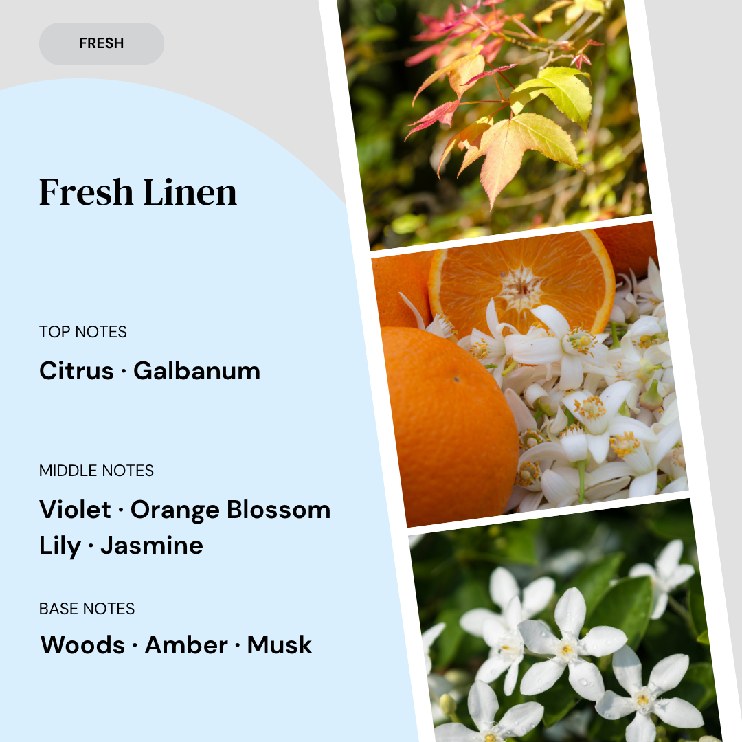 Fragrance notes card for Fresh Linen home fragrance by Marsden & Whittle, showing top notes of Citrus and Galbanum, middle notes of Violet, Orange Blossom, Lily and Jasmine, and base notes of Woods, Amber and Musk, with ingredient photography.