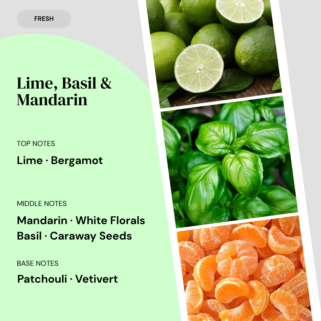 Fragrance notes card for Lime, Basil & Mandarin home fragrance by Marsden & Whittle, showing top notes of Lime and Bergamot, middle notes of Mandarin, White Florals, Basil and Caraway Seeds, and base notes of Patchouli and Vetivert, with ingredient photography.