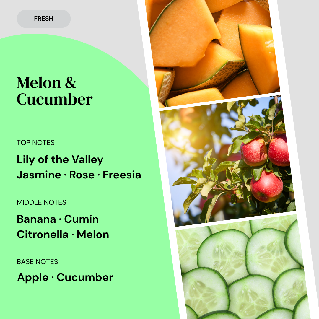Fragrance notes card for Melon & Cucumber home fragrance by Marsden & Whittle, showing top notes of Lily of the Valley, Jasmine, Rose and Freesia, middle notes of Banana, Cumin, Citronella and Melon, and base notes of Apple and Cucumber, with ingredient photography.