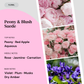 Fragrance notes card for Peony & Blush Suede home fragrance by Marsden & Whittle, showing top notes of Peony, Red Apple and Aqueous, middle notes of Rose, Jasmine and Carnation, and base notes of Violet, Plum, Musks and Dry Amber, with ingredient photography.
