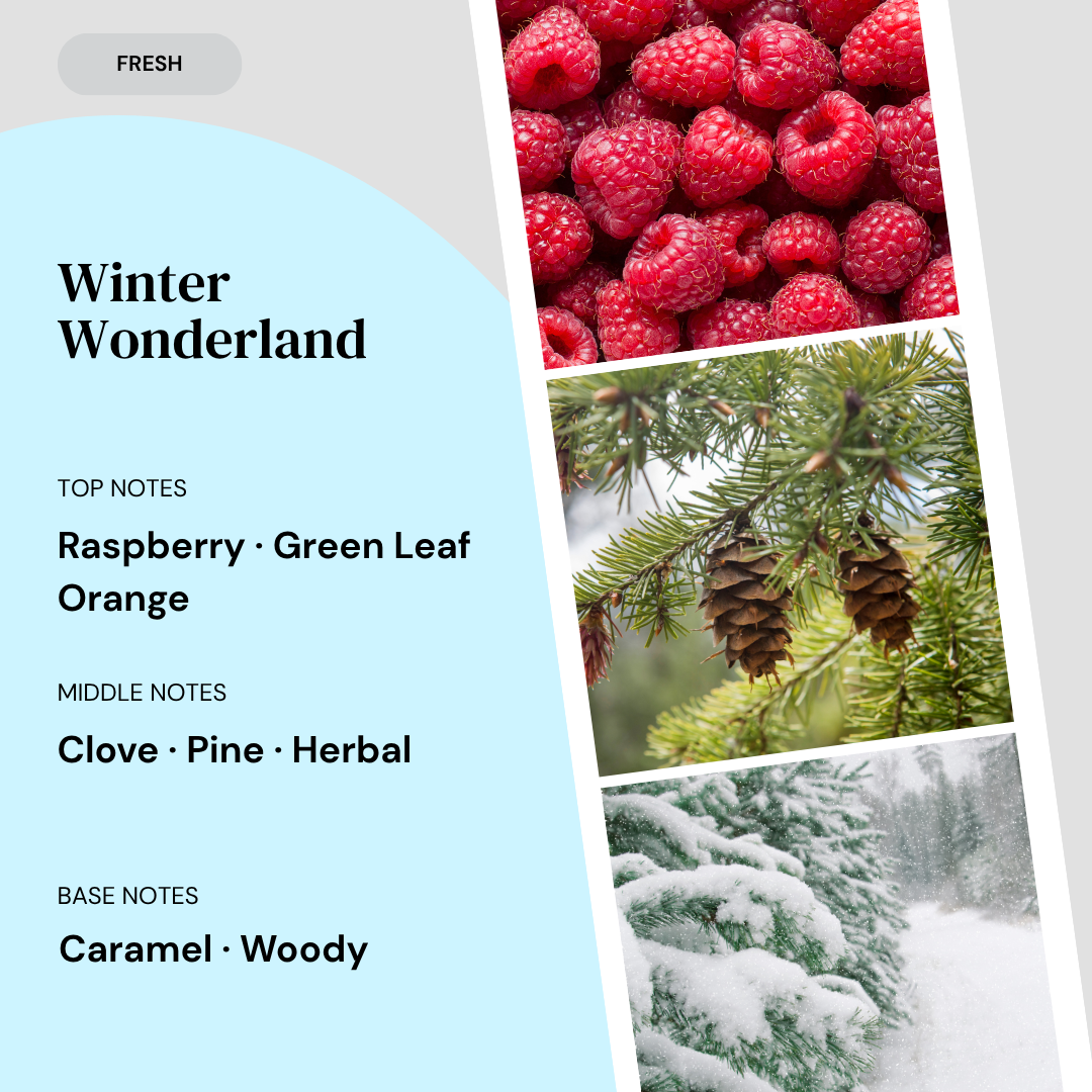 Fragrance notes card for Winter Wonderland home fragrance by Marsden & Whittle, showing top notes of Raspberry, Green Leaf and Orange, middle notes of Clove, Pine and Herbal, and base notes of Caramel and Woody, with ingredient photography.