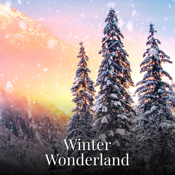 Winter Wonderland Reed Diffuser