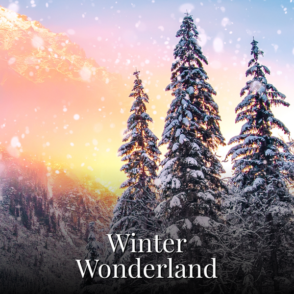 Winter Wonderland Statement Diffuser