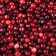 Cranberry