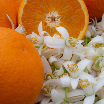 Orange Blossom