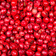 Pink Peppercorn