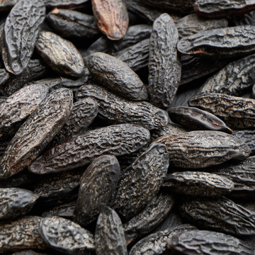 Tonka Bean