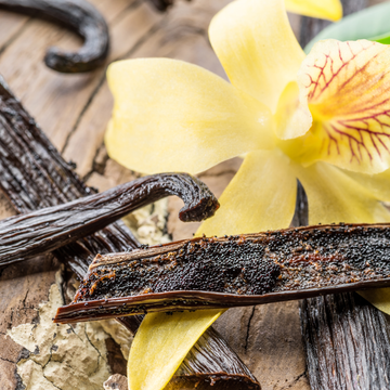 Vanilla
