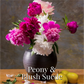 Peony & Blush Suede Reed Diffuser, Wash & Lotion Gift Set - Marsden & Whittle